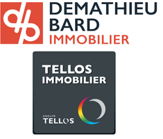 Demathieu Bard Immobilier