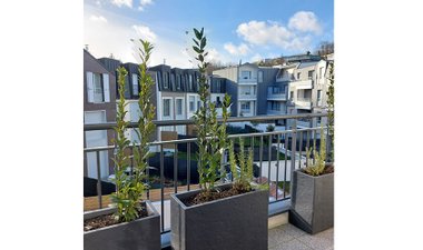 Avant-seine - immobilier neuf Le Port-marly