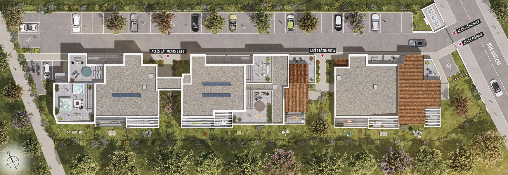 Appartements neufs Sauvian - Arborea